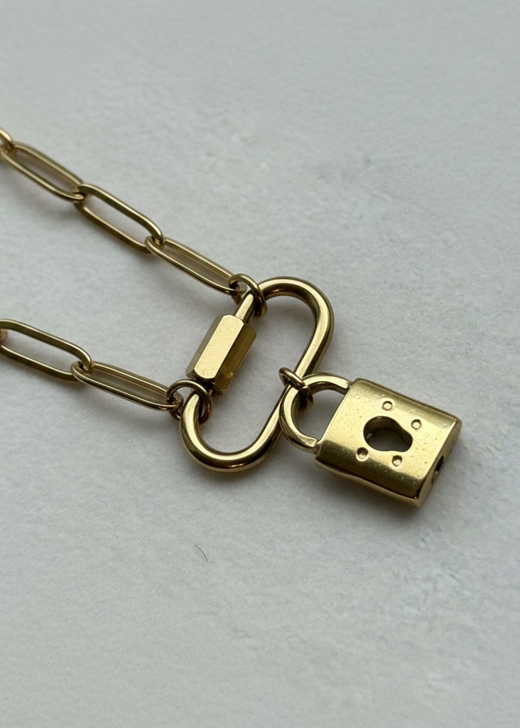 Carabiner and Padlock Detail