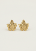 Gold Leaf Stud Earrings - Clean Background
