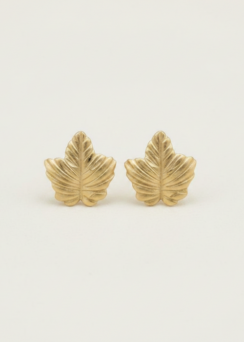 Gold Leaf Stud Earrings - Clean Background